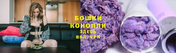 шишки Богородск