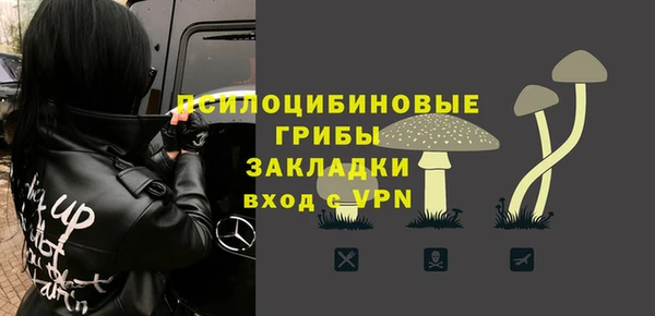 тгк Богородицк