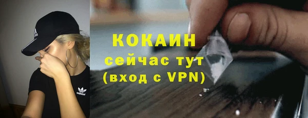 шишки Богородск