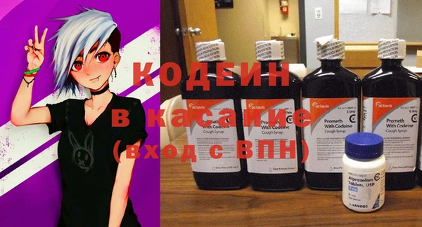 шишки Богородск