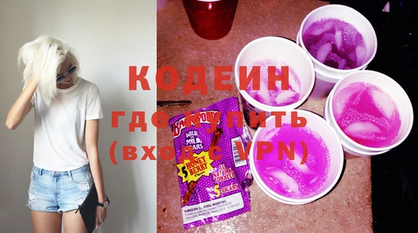 шишки Богородск