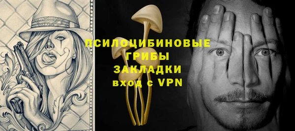 шишки Богородск