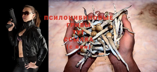 шишки Богородск