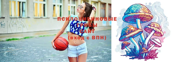 шишки Богородск