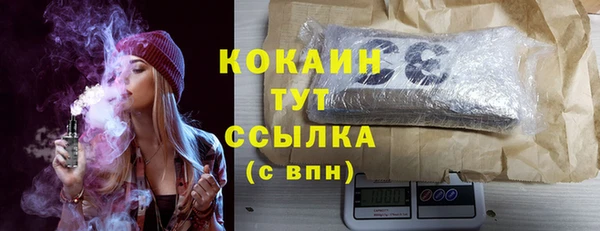 шишки Богородск