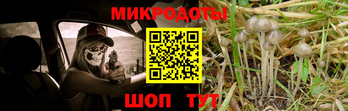 Надым  Галлюциногенные грибы прущие грибы  Вход с VPN 